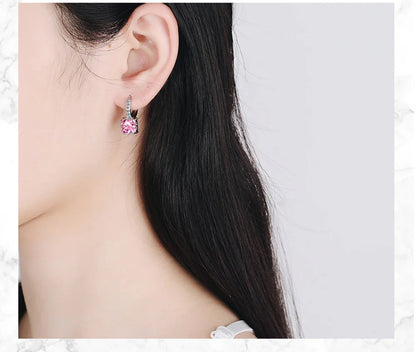 BRINCOS CRISTAIS CRAVEJADOS PRATA 925 - BRSI2423